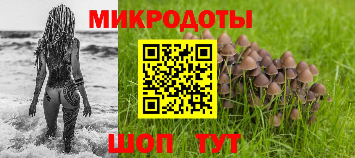 Галлюциногенные грибы GOLDEN TEACHER  где продают наркотики  Галлюциногенные грибы мицелий  Ульяновск 