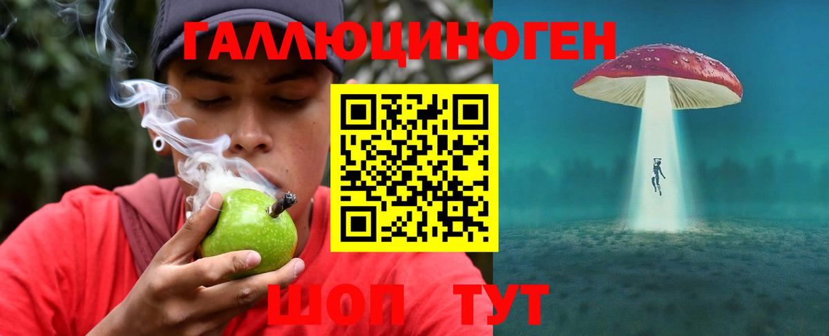 Галлюциногенные грибы Magic Shrooms  купить  цена  Ульяновск  Вход с VPN 